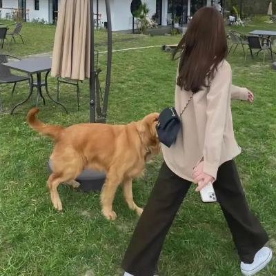 尸缠妖后